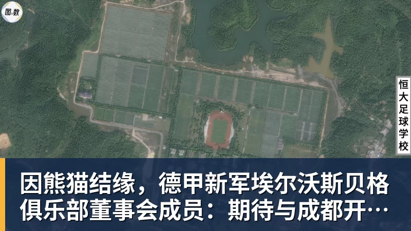 因熊猫结缘，德甲新军埃尔沃斯贝格俱乐部董事会成员：期待与成都开展更多合作