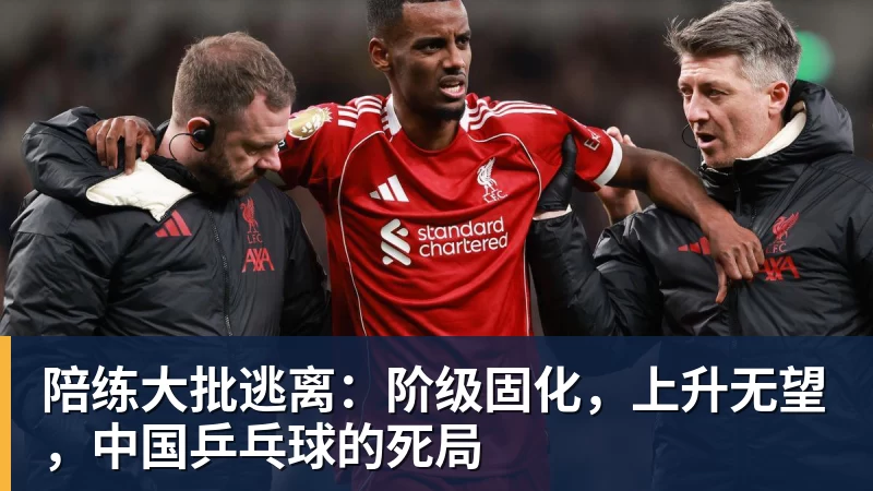 陪练大批逃离:阶级固化,上升无望,中国乒乓球的死局